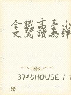 全职高手小说全文阅读无弹窗