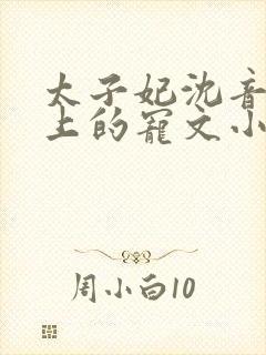 太子妃沈音和皇上的宠文小说