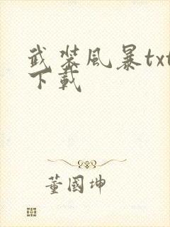 武装风暴txt下载