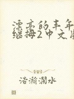 漂亮的丰年经的继拇2中文版