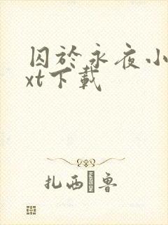 囚于永夜小说txt下载封面