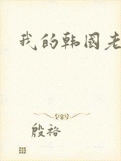 我的韩国老婆封面