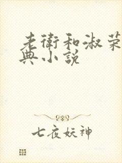 老卫和淑荣的经典小说