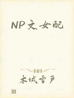NP文女配