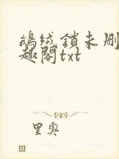 鹅绒锁未删除笔趣阁txt封面