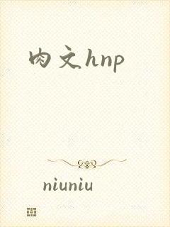 肉文hnp