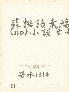 苏桃的幸福生活(np)小说笔趣阁沐沐