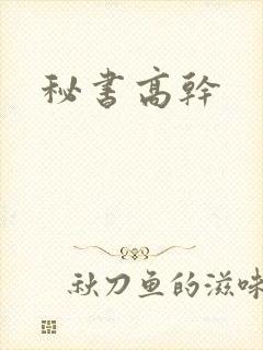 秘书高干封面