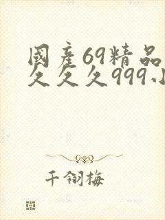 国产69精品久久久久999小说