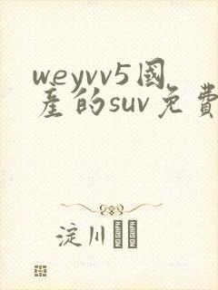 weyvv5国产的suv免费
