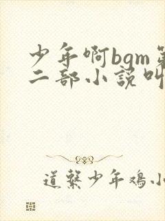少年啊bgm第二部小说叫什么