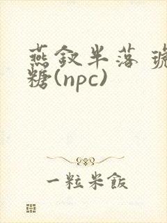 燕钗半落 琥珀糖(npc)