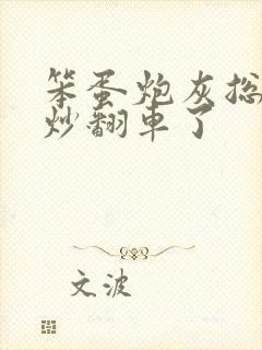 笨蛋炮灰总被爆炒翻车了