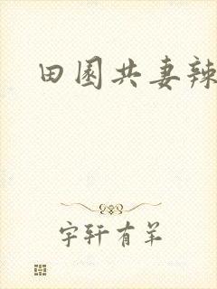 田园共妻辣封面
