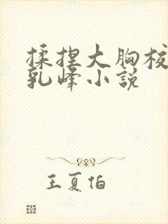 揉捏大胸校花的乳峰小说