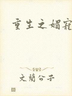 重生之媚宠系统