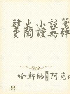 肆火小说笔趣免费阅读无弹窗