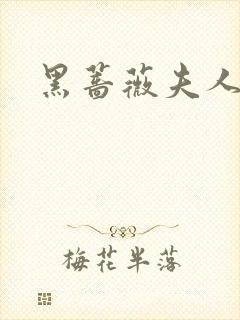 黑蔷薇夫人封面