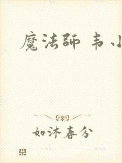 魔法师 韦小宝封面