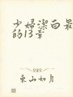 少妇洁白最刺激的13章