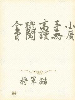 全职高手小说免费阅读无广告