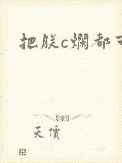 把朕c烂都可以封面