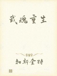 武魂重生封面