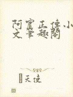 阿宾正传小说全文笔趣阁