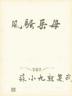 风骚岳母