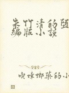 朱竹清的堕落改编版小说