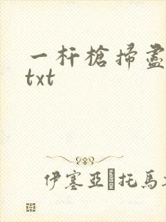 一杆枪扫尽全家txt