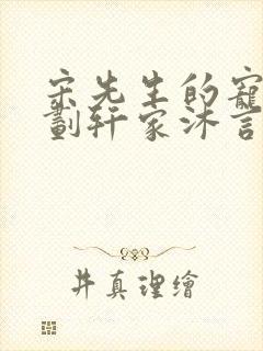 宋先生的宠妻计划轩家沐言