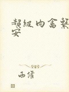 超级肉禽系统保安封面