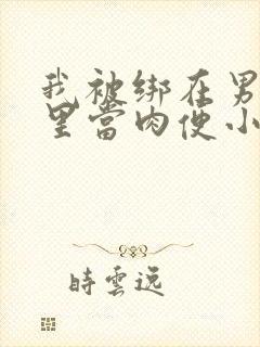 我被绑在男公厕里当肉便小说