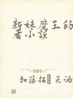 新妹魔王的契约者小说封面