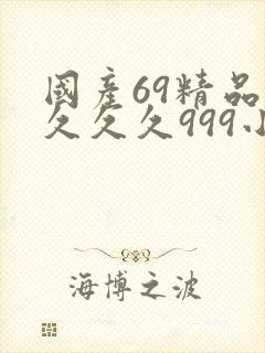 国产69精品久久久久999小说封面