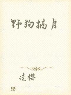 野狗摘月