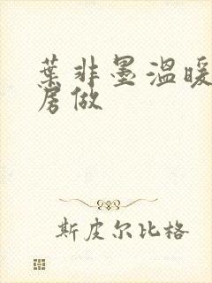 叶非墨温暖在厨房做封面