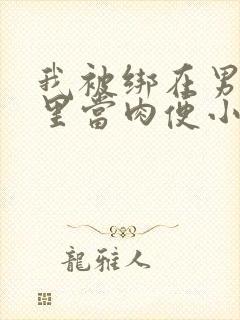 我被绑在男公厕里当肉便小说