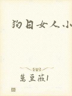狗日女人小说