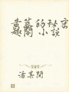 黄蓉的秘密 笔趣阁 小说