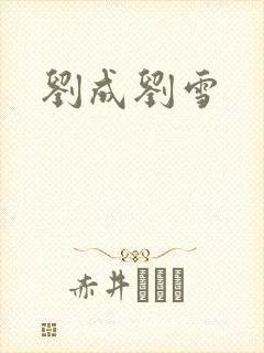 刘成刘雪封面