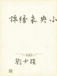 锦绣未央小说封面