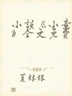 小说《小意柔情》全文免费阅读封面