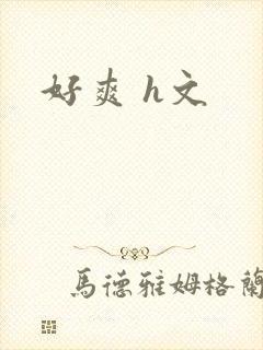 好爽 h文