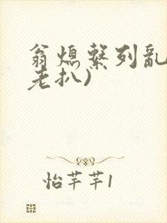 翁熄系列乱 (老扒)