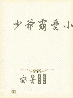 少爷霸爱小丫头