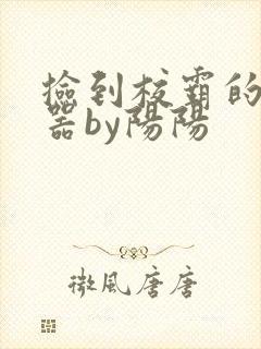 捡到校霸的遥控器by阳阳