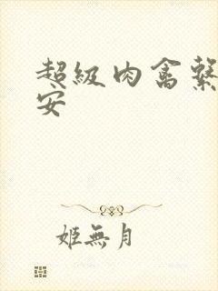 超级肉禽系统保安