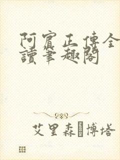 阿宾正传全文阅读笔趣阁